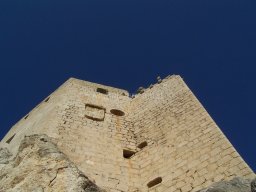 Castillo de Mula 2010